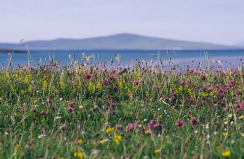 Coastal habitats