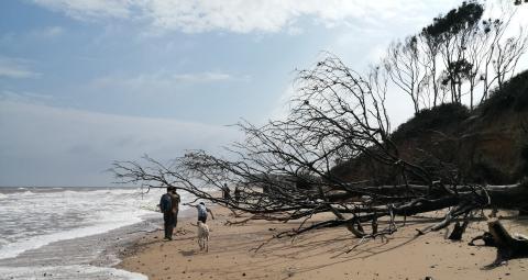 People walking along eroding coastal cliffs, Suffolk UK